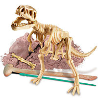 Динозаврларды қазуға арналған жинақ - Тираннозавр