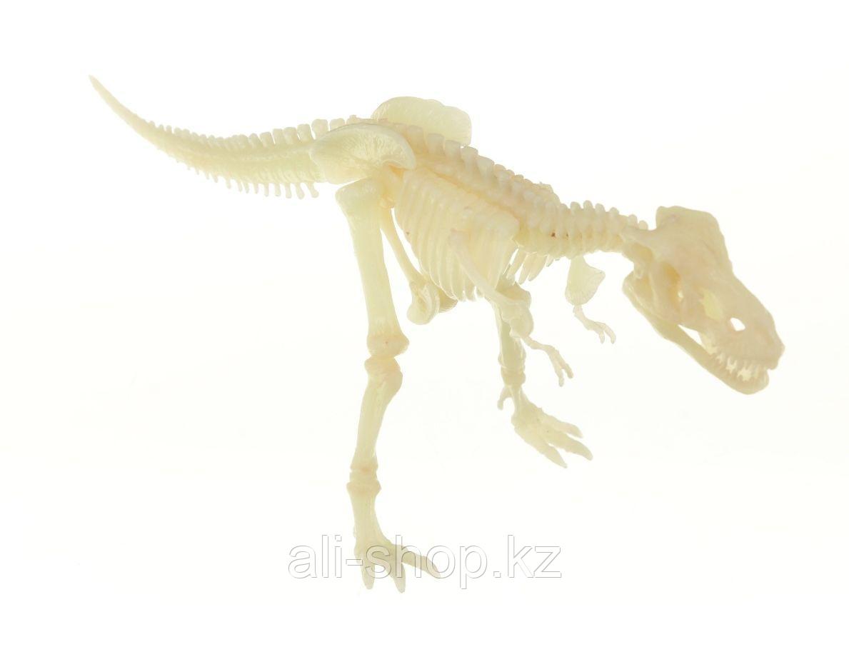 Набор для раскопок Динозавры - Тиранозавр - фото 3 - id-p113465663