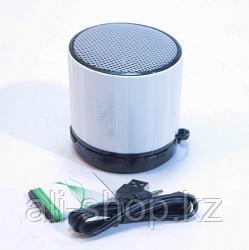 Bluetooth-колонка Wster WS-230ВТ, серебро - фото 1 - id-p113465776