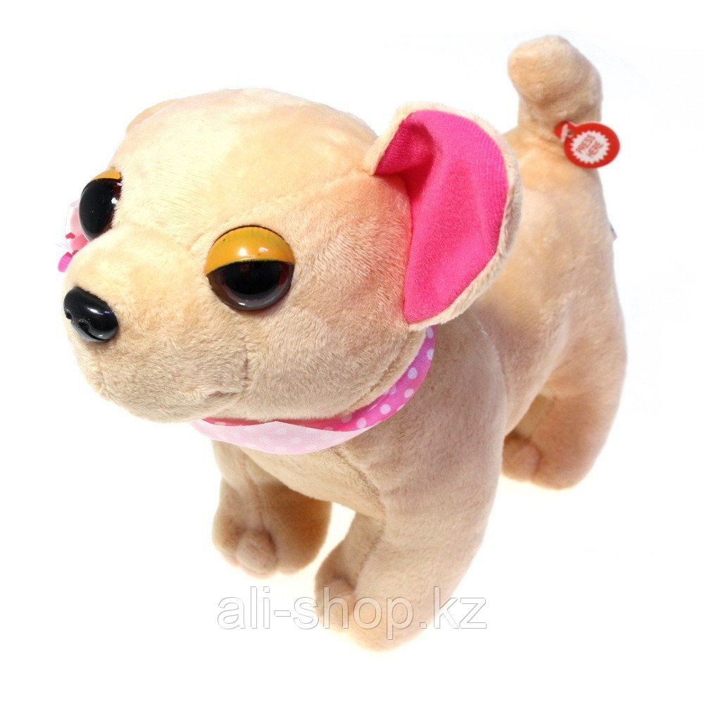 Собачка в сумочке Chi Chi Love (Чичилав) - чихуахуа с цветным ошейником, розовая сумка - фото 2 - id-p113467417