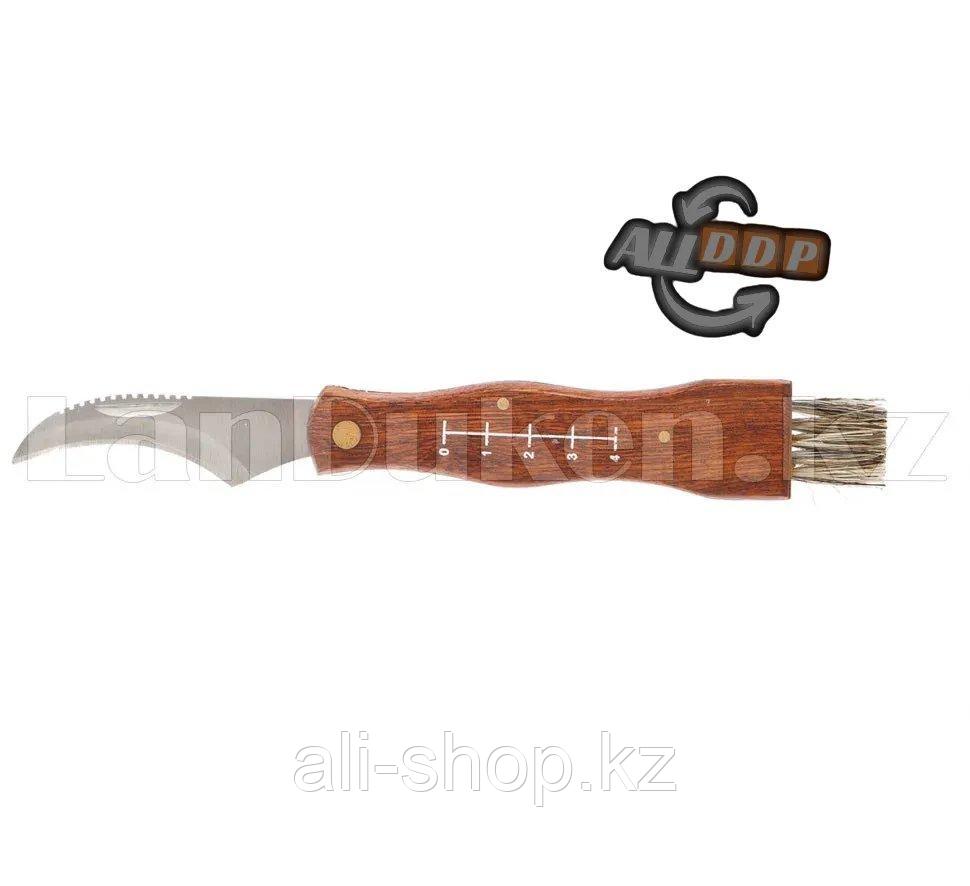 Нож грибника большой, деревянная рукоятка// PALISAD 79005 (002) - фото 1 - id-p113468296