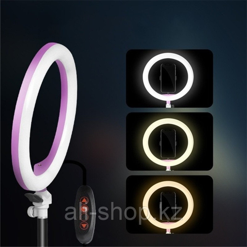 Кольцевое освещение для профессиональной съемки Ring Fill Light ZD666 (26 см) - фото 1 - id-p113467287