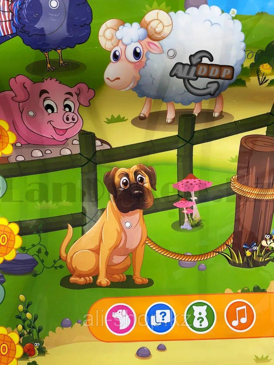 Интерактивный плакат Ростомер "Ферма" говорящий детский с зверюшками песни и игры на батарейках WG9902 - фото 6 - id-p113469233