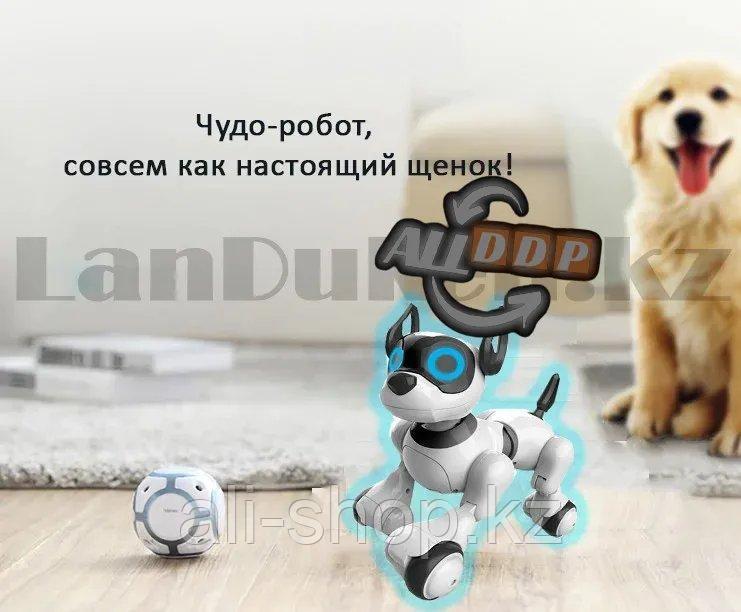 Игрушка Робот собака на батарейках танцующая музыкальная на радиоуправлении JZL 20173-1 - фото 2 - id-p113469456
