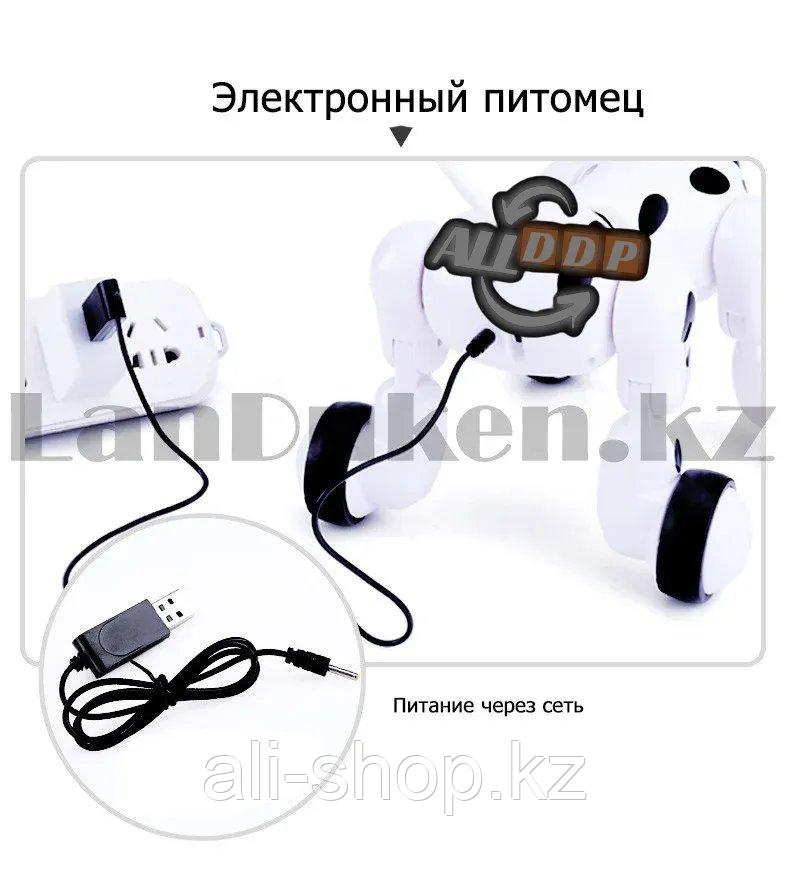 Игрушка Робот собака интерактивная электронная танцующая музыкальная на радиоуправлении Smart Pet 619 - фото 5 - id-p113469458
