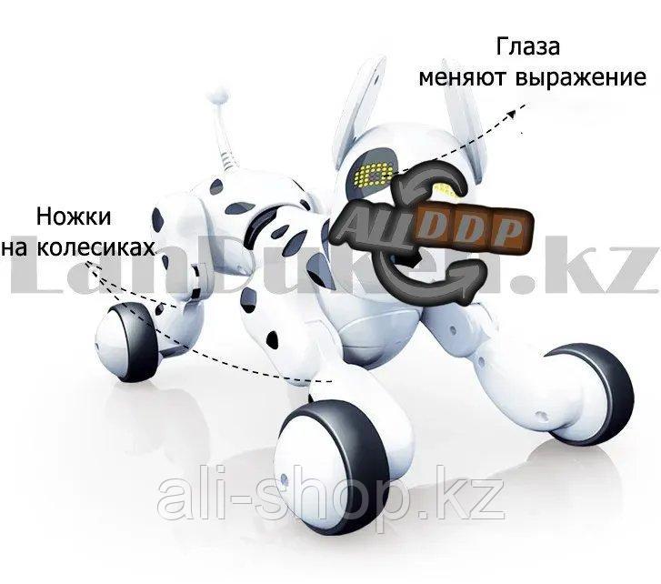 Игрушка Робот собака интерактивная электронная танцующая музыкальная на радиоуправлении Smart Pet 619 - фото 7 - id-p113469458