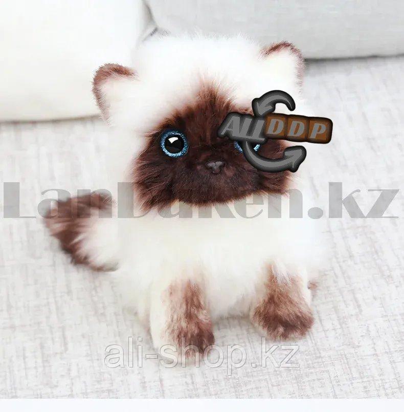 Мягкая игрушка Кошка сиамская с блестящими глазами маленькая 20 см - фото 8 - id-p113469489