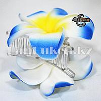 Заколка краб "Гавайский цветок" (голубая)
