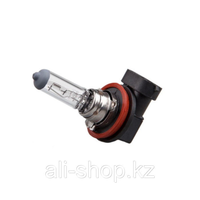 Лампа автомобильная Xenite Standart H11 (PGJ19-2) - фото 1 - id-p113472335