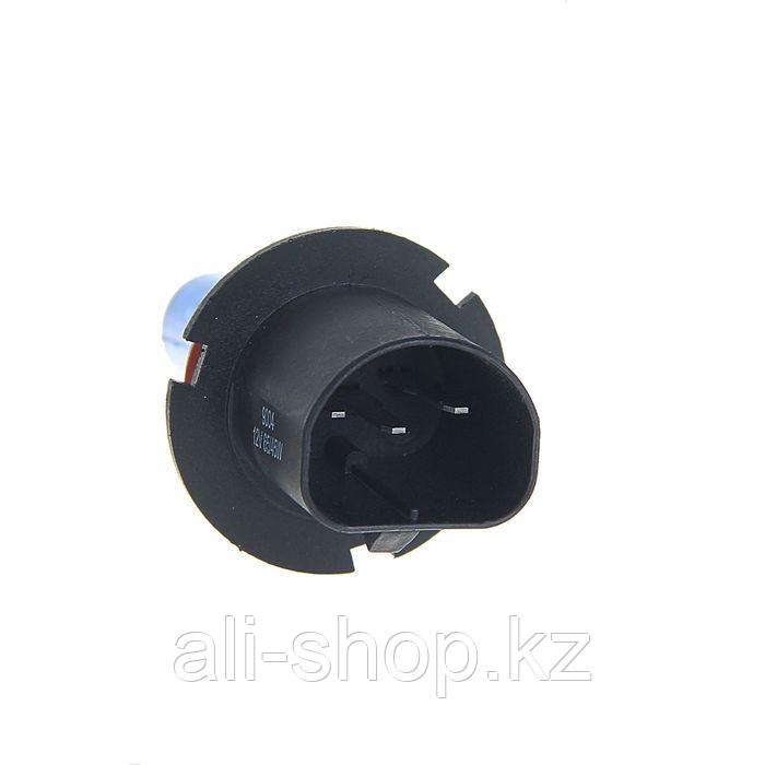Комплект галогенных ламп TORSO HB1, 4200 K, 12 В, 65/45 Вт, SUPER WHITE - фото 2 - id-p113473850
