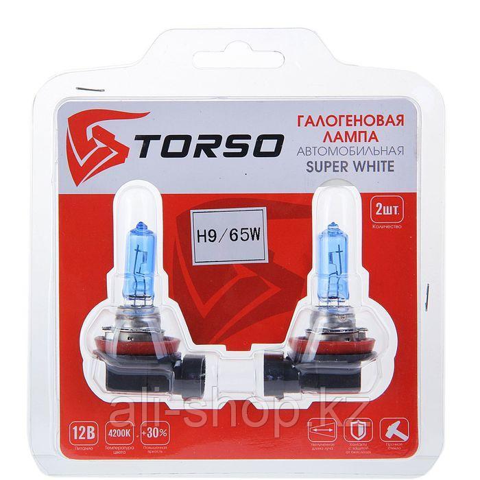 Комплект галогенных ламп TORSO H9, 4200 K, 12 В, 65 Вт, 2 шт., SUPER WHITE - фото 2 - id-p113473851
