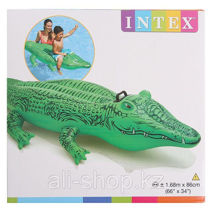 Игрушка для плавания «Крокодил», 168 х 86 см, от 3 лет, 58546NP INTEX - фото 2 - id-p113475400