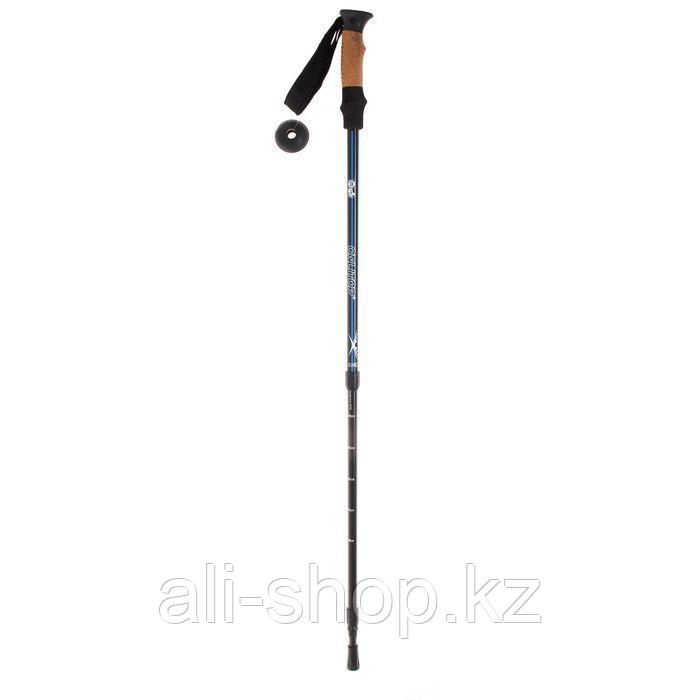 Палка для скандинавской ходьбы, телескопическая, 3 секционная, алюминий, до 135 см, (1 шт), цвет чёр ... - фото 1 - id-p113476834