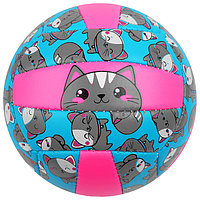 Мяч волейбольный ONLITOP «Кошечка», размер 2, 150 г, 2 подслоя, 18 панелей, PVC, бутиловая камера