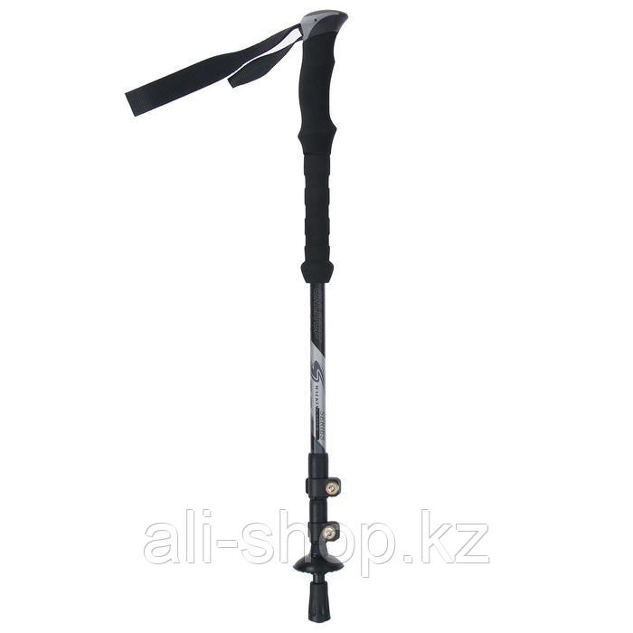 Палка для скандинавской ходьбы, телескопическая, 3 секции, до 135 см, цвет чёрный - фото 1 - id-p113476888
