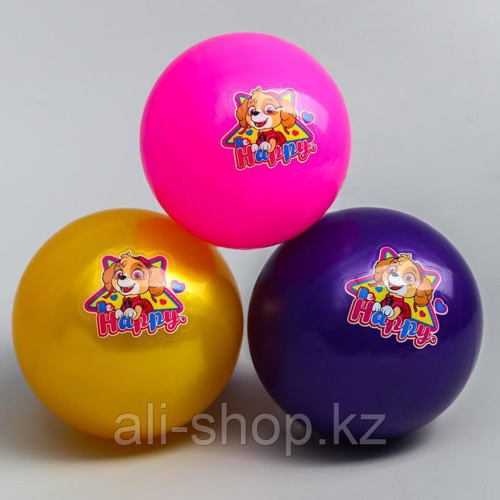 Мяч детский Paw Patrol "Happy", 16 см, 50 гр, цвета МИКС - фото 4 - id-p113476905