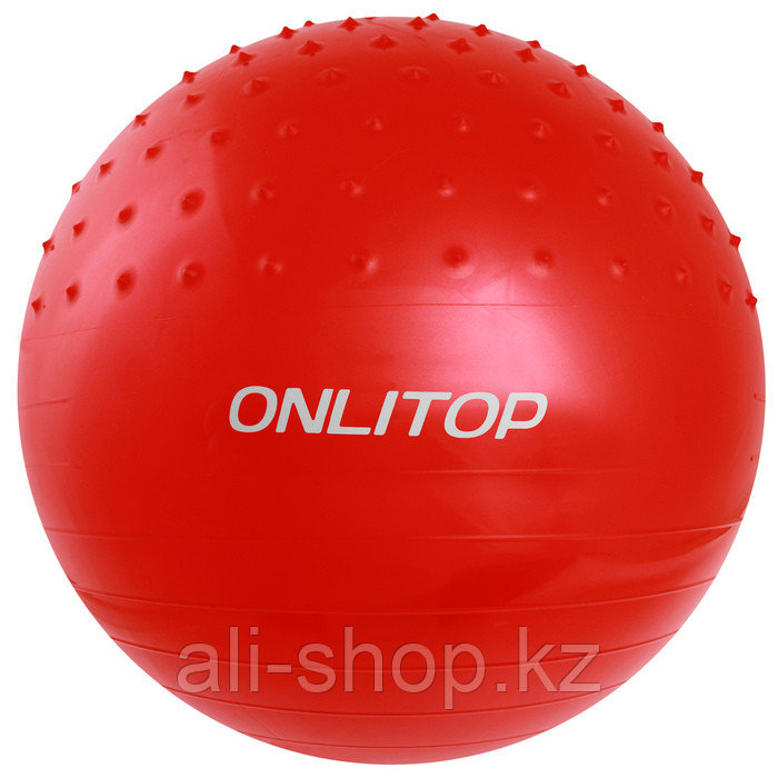 Мяч гимнастический массажный d=65 см, 1000 г, цвета МИКС - фото 1 - id-p113476930