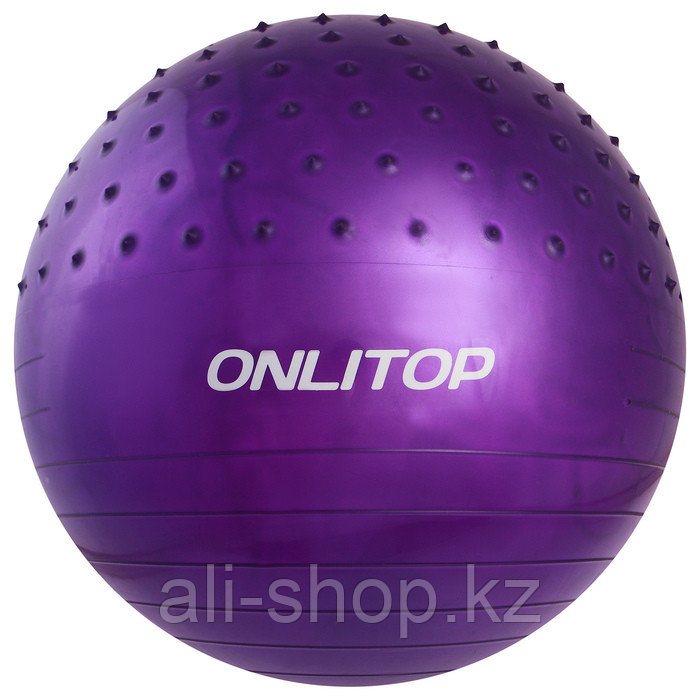 Мяч гимнастический массажный d=65 см, 1000 г, цвета МИКС - фото 3 - id-p113476930