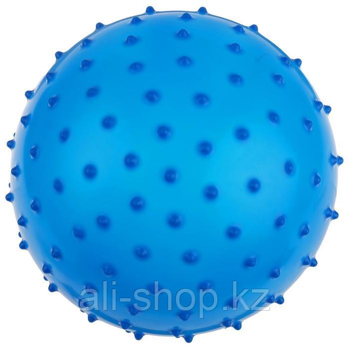 Мячик массажный, матовый пластизоль, d=20 см, 50 г, МИКС - фото 3 - id-p113475600
