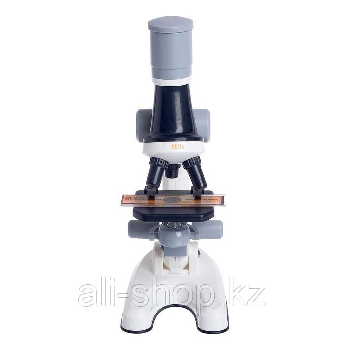 Микроскоп детский «Юный ботаник» кратность х100, х400, х1200, белый, подсветка - фото 3 - id-p113476284
