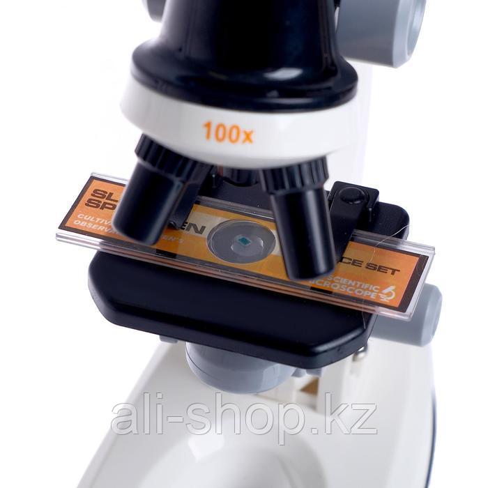 Микроскоп детский «Юный ботаник» кратность х100, х400, х1200, белый, подсветка - фото 6 - id-p113476284