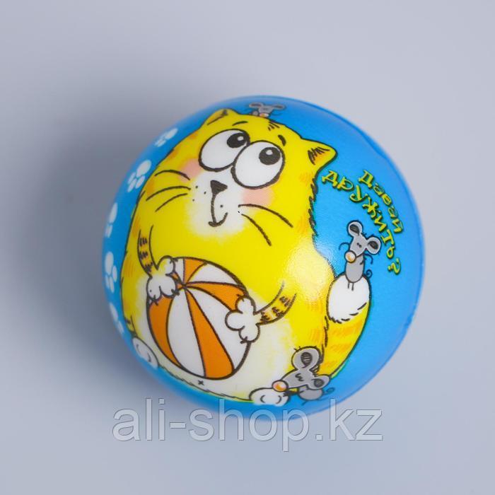 Мягкий мяч «Котэ», 6,3 см, виды МИКС - фото 2 - id-p113477302
