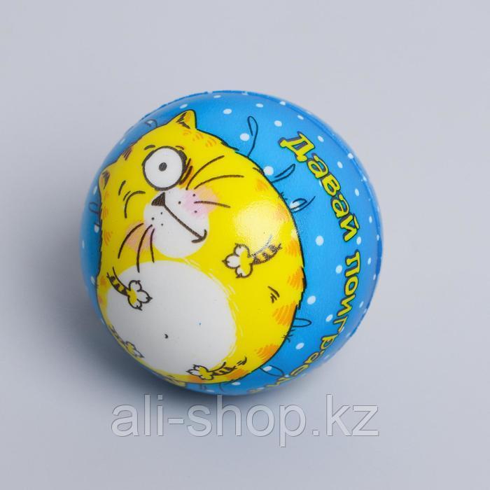 Мягкий мяч «Котэ», 6,3 см, виды МИКС - фото 3 - id-p113477302