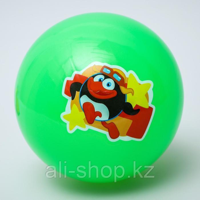 Мяч детский СМЕШАРИКИ "Пин" 22 см, 60 гр, цвета МИКС - фото 1 - id-p113477385