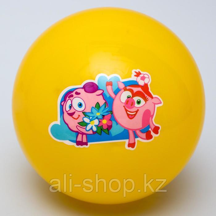 Мяч детский СМЕШАРИКИ "Нюша и Бараш" 22 см, 60 гр, цвета МИКС - фото 4 - id-p113477391