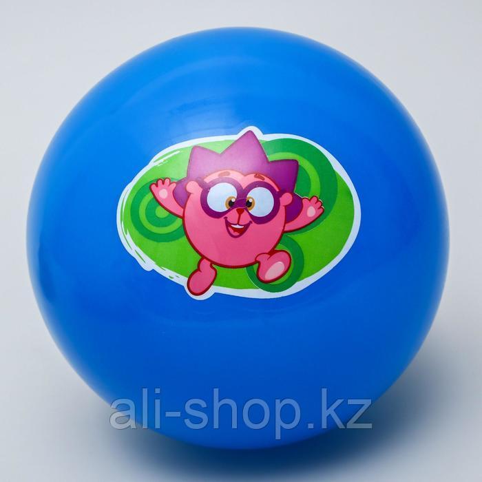 Мяч детский СМЕШАРИКИ "Ежик" 22 см, 60 гр, цвета МИКС - фото 2 - id-p113477438