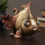 Копилка "Золотая рыбка"  13х25см, фото 2