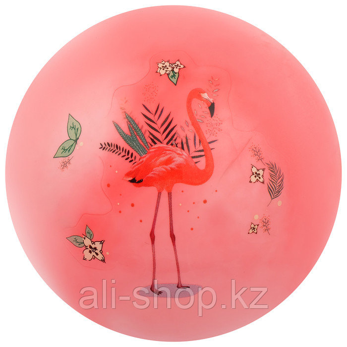 Мяч детский «Фламинго», d=22 см, 60 г, цвета МИКС - фото 1 - id-p113477549