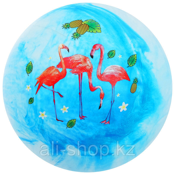 Мяч детский «Фламинго», d=22 см, 60 г, цвета МИКС - фото 2 - id-p113477549