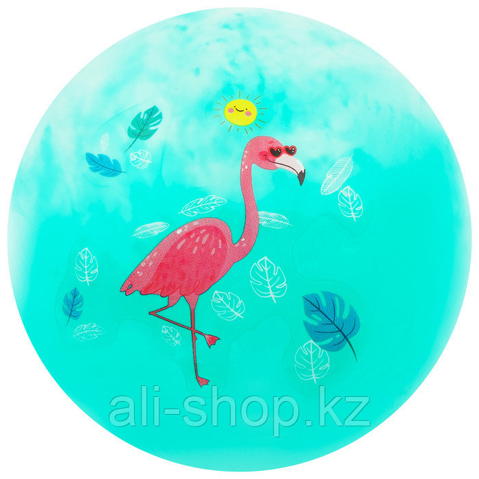 Мяч детский «Фламинго», d=22 см, 60 г, цвета МИКС - фото 4 - id-p113477549