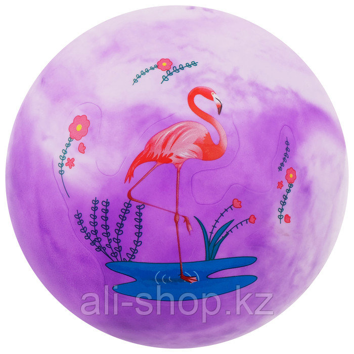Мяч детский «Фламинго», d=22 см, 60 г, цвета МИКС - фото 5 - id-p113477549