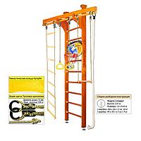 Шведская стенка Kampfer Wooden Ladder Ceiling Basketball Shield №3, цвет классический, стандарт