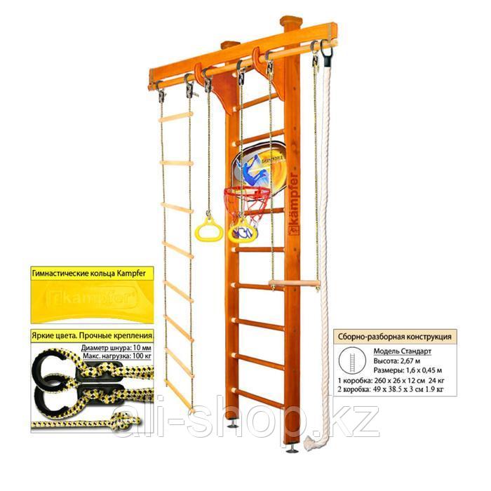 Шведская стенка Kampfer Wooden Ladder Ceiling Basketball Shield №3, цвет классический, стандарт - фото 1 - id-p113478584