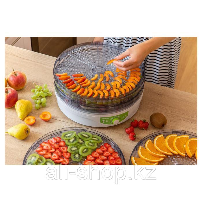 Сушилка для овощей и фруктов Sencor SFD 2105WH, 250 Вт, 5 ярусов, белая - фото 9 - id-p113481838