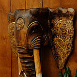 Сувенир "Голова слона" тёмный, фото 3
