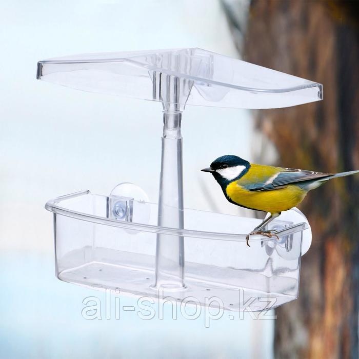 Кормушка для птиц, 20 × 16,5 × 9 см, на присосках, пластик - фото 1 - id-p113485049