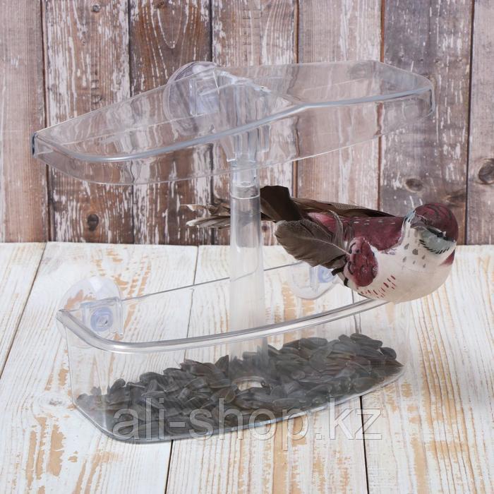 Кормушка для птиц, 20 × 16,5 × 9 см, на присосках, пластик - фото 4 - id-p113485049