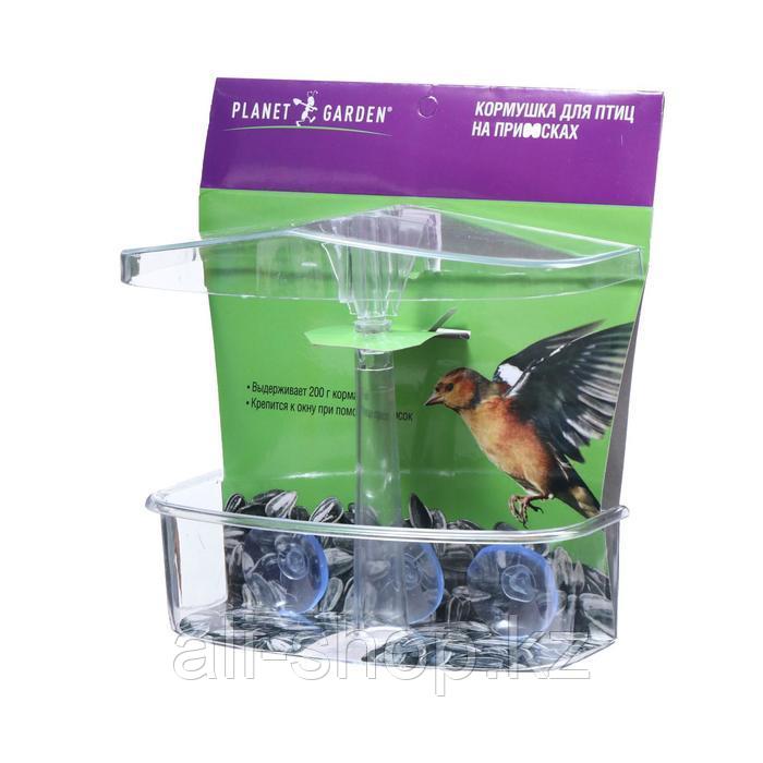 Кормушка для птиц, 20 × 16,5 × 9 см, на присосках, пластик - фото 5 - id-p113485049