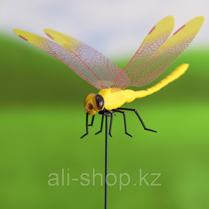 Декоративный штекер "Стрекоза с прозрачными крылышками" микс - фото 5 - id-p113483735
