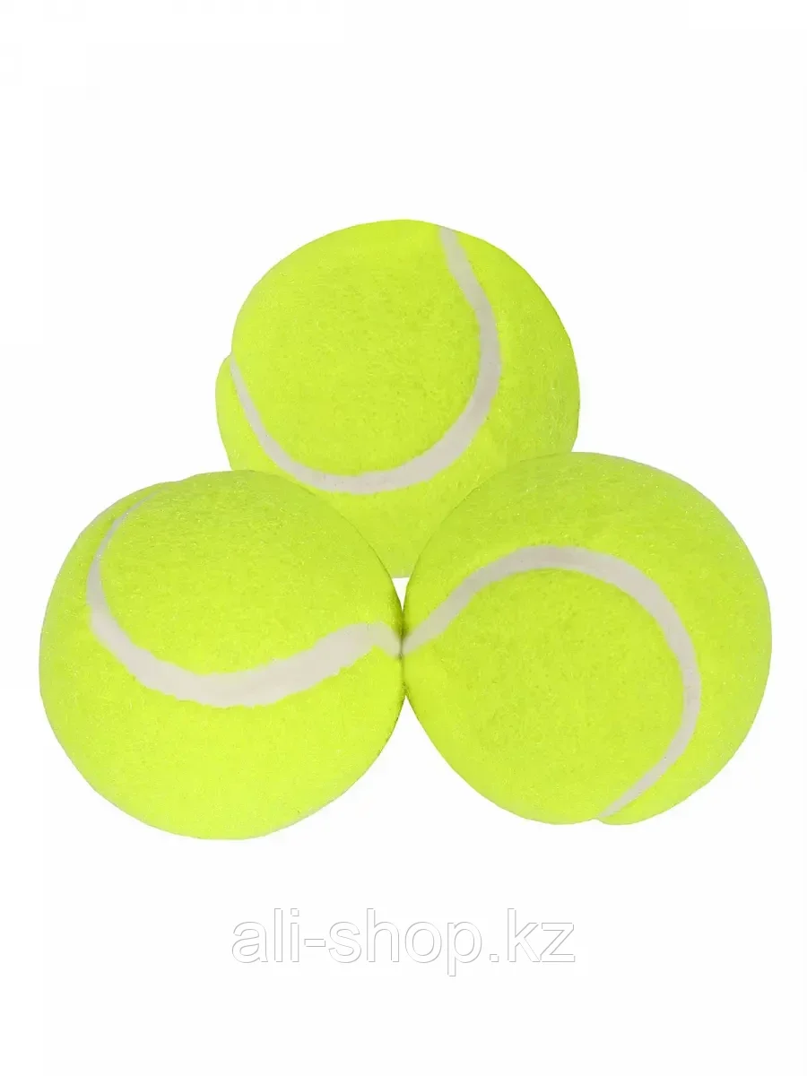 Мяч для большого тенниса 3 шт - фото 1 - id-p113487810