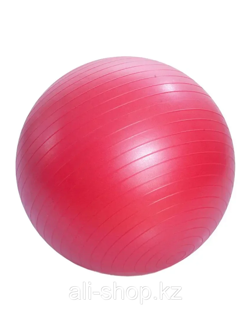 Мяч гимнастический фитбол 65 см - фото 1 - id-p105323513
