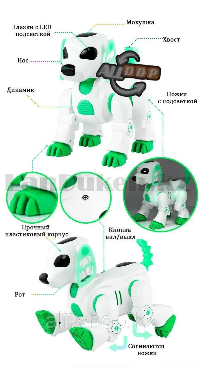 Игрушка Робот собака Лакки интерактивная электронная танцующая музыкальная на радиоуправлении Smart Pet 7588 - фото 6 - id-p113495781