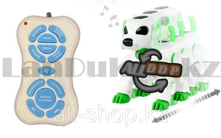 Игрушка Робот собака Лакки интерактивная электронная танцующая музыкальная на радиоуправлении Smart Pet 7588 - фото 9 - id-p113495781