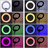 Кольцевая разноцветная селфи-лампа Led MJ33 RGB 6 цветов с держателем диаметром 33 см, фото 8