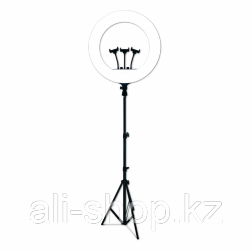 Профессиональная кольцевая лампа (RL-21) 54 см с штатив-треногой, пультом, USB - фото 1 - id-p113499172