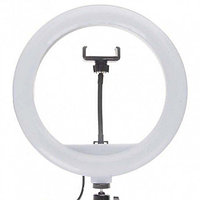 Кольцевая LED лампа JY-300 30 см